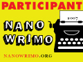 NaNoWriMo 2007